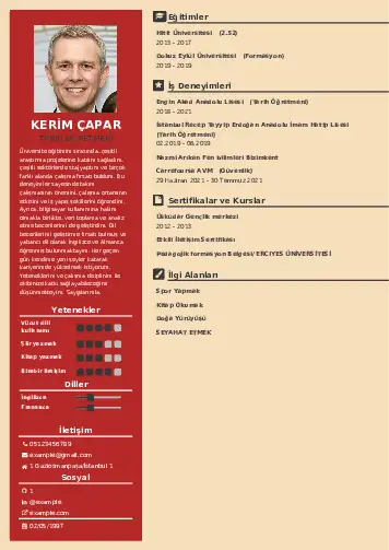 Tarih Öğretmeni Cv Örnekleri cv indir